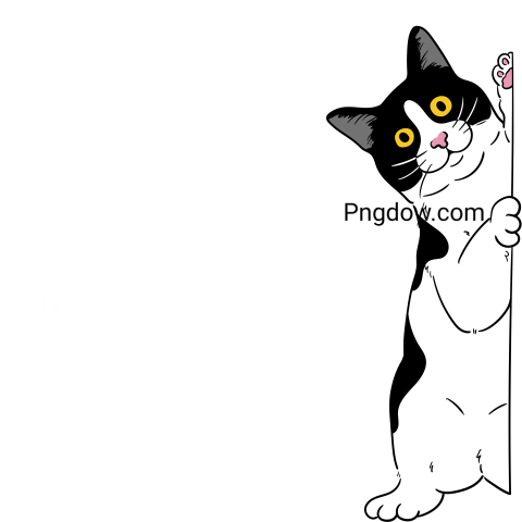 Cats Png image with transparent background for free, Cats, (24)