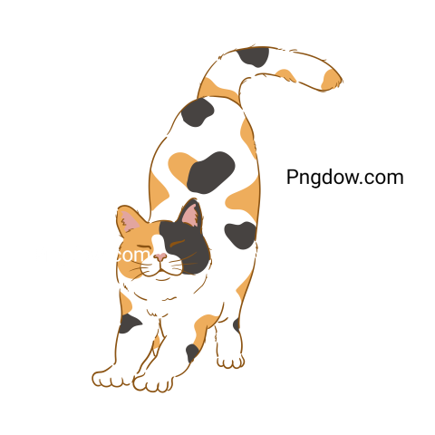 Cats Png image with transparent background for free, Cats, (4)