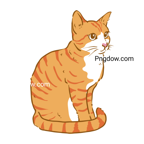 Cats Png image with transparent background for free, Cats, (29)