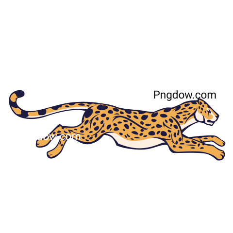 Cheetah Png image with transparent background for free, Cheetah, (33)
