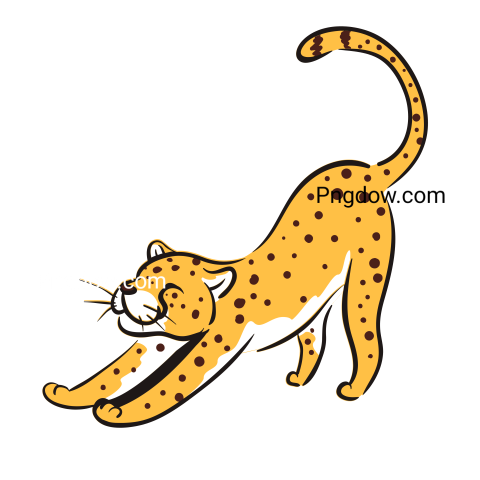 Cheetah Png image with transparent background for free, Cheetah, (25)