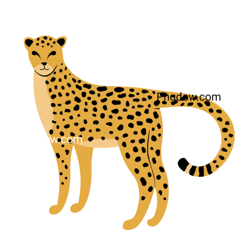 Cheetah Png image with transparent background for free, Cheetah, (35)