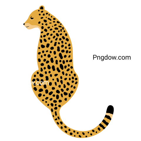 Cheetah Png image with transparent background for free, Cheetah, (24)