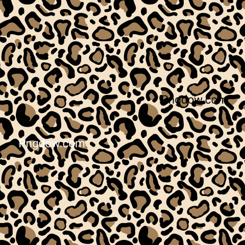 Cheetah Png image with transparent background for free, Cheetah, (29)