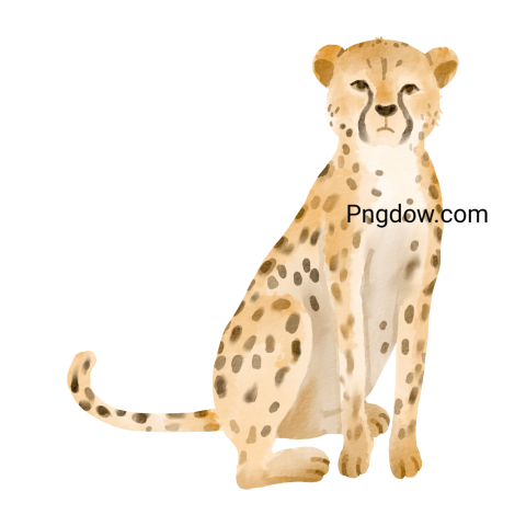 Cheetah Png image with transparent background for free, Cheetah, (42)