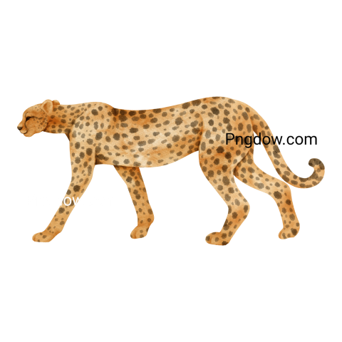 Cheetah Png image with transparent background for free, Cheetah, (22)