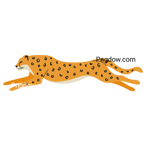 Cheetah Png image with transparent background for free, Cheetah, (19)