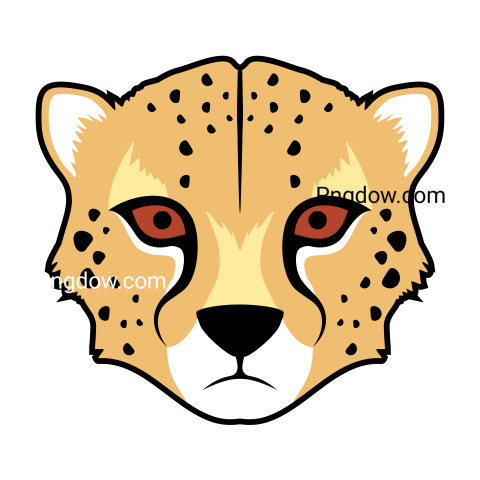 Cheetah Png image with transparent background for free, Cheetah, (18)