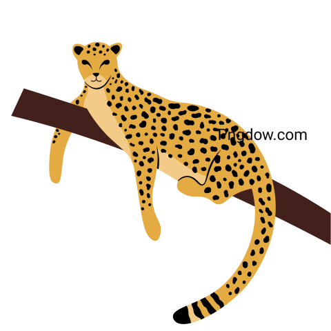 Cheetah Png image with transparent background for free, Cheetah, (15)