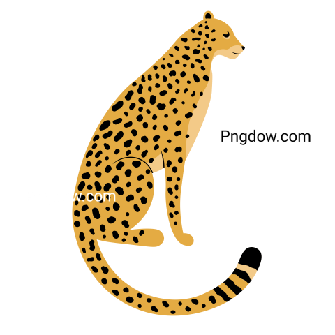 Cheetah Png image with transparent background for free, Cheetah, (3)
