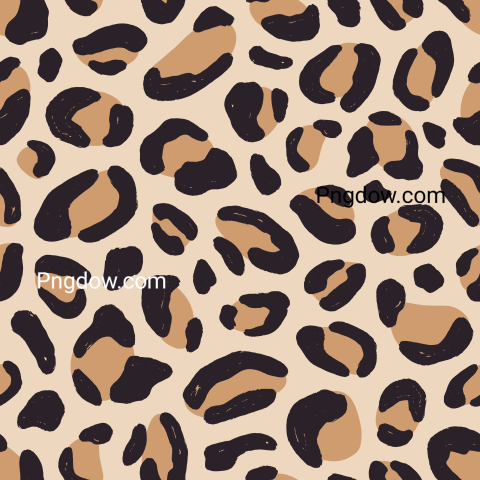 Cheetah Png image with transparent background for free, Cheetah, (6)