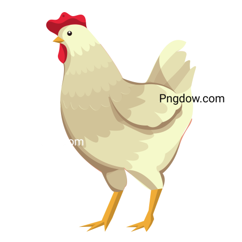 Chicken Png image with transparent background for free, Chicken, (12)