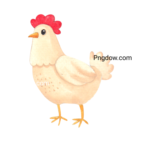 Chicken Png image with transparent background for free, Chicken, (30)