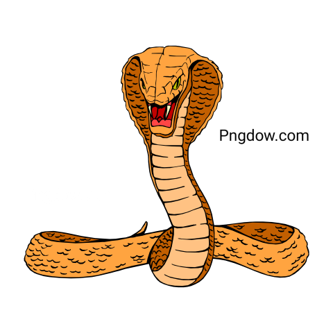 Cobra Png image with transparent background for free, Cobra, (27)