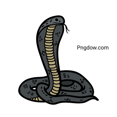 Cobra Png image with transparent background for free, Cobra, (15)