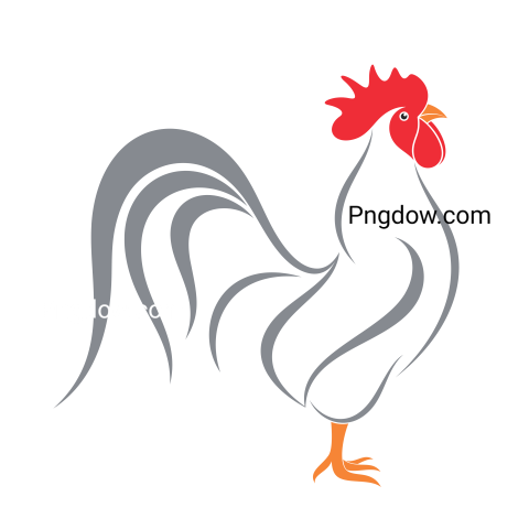Cock Png image with transparent background for free, Cock, (8)