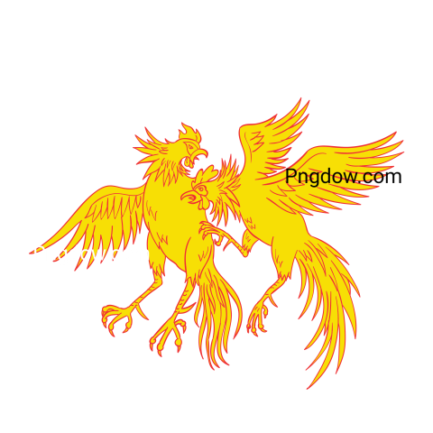 Cock Png image with transparent background for free, Cock, (28)