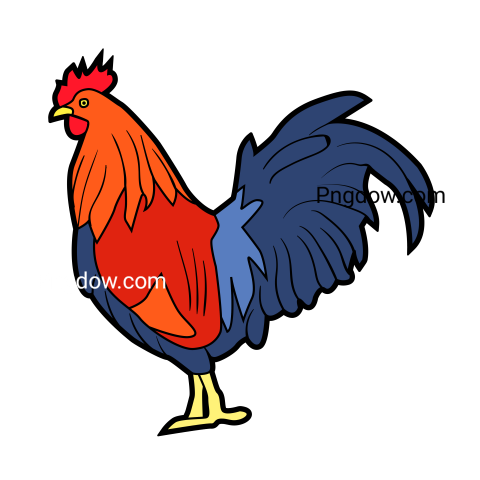 Cock Png image with transparent background for free, Cock, (12)