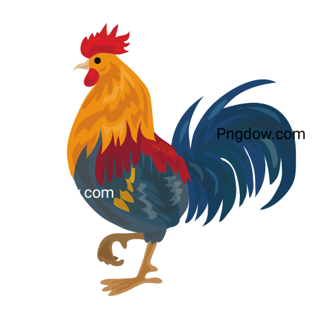 Cock Png image with transparent background for free, Cock, (22)