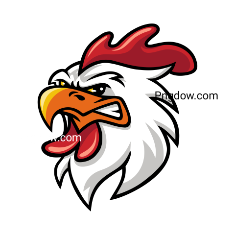 Cock Png image with transparent background for free, Cock, (23)