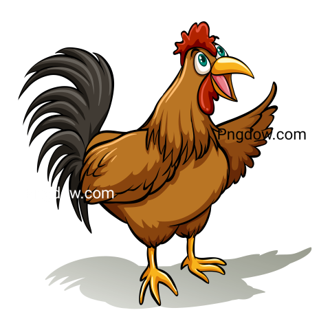 Cock Png image with transparent background for free, Cock, (10)