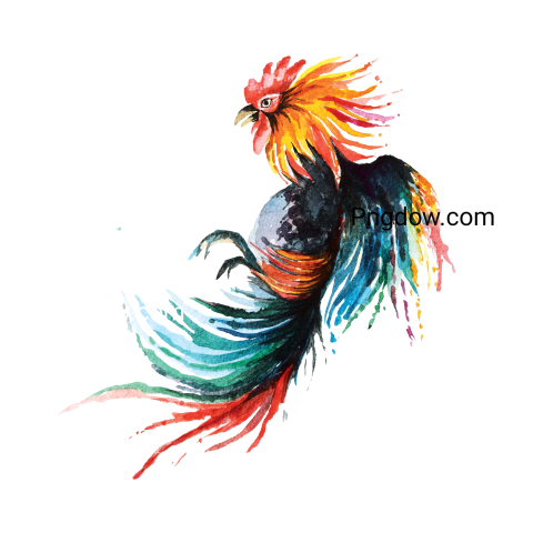 Cock Png image with transparent background for free, Cock, (16)
