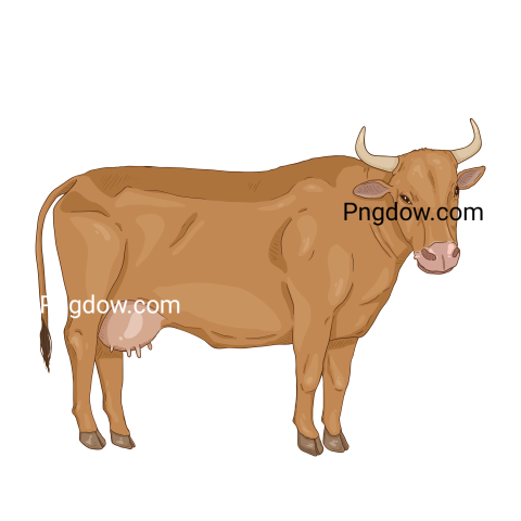 Cow Png image with transparent background for free, Cow, (13)