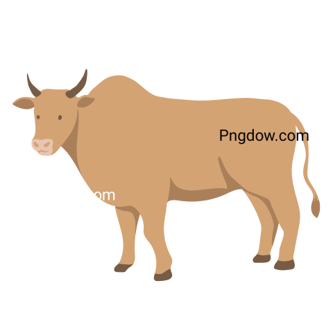 Cow Png image with transparent background for free, Cow, (18)