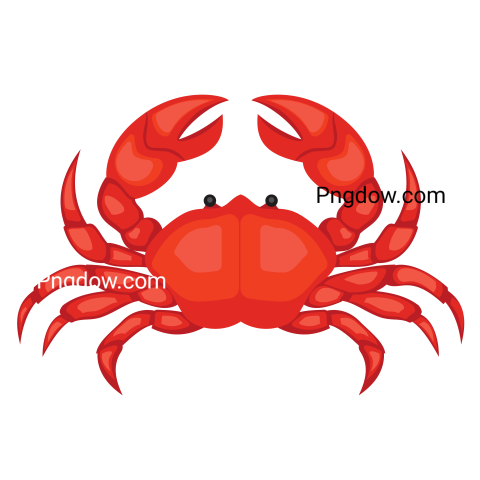 Crab Png image with transparent background for free, Crab, (22)
