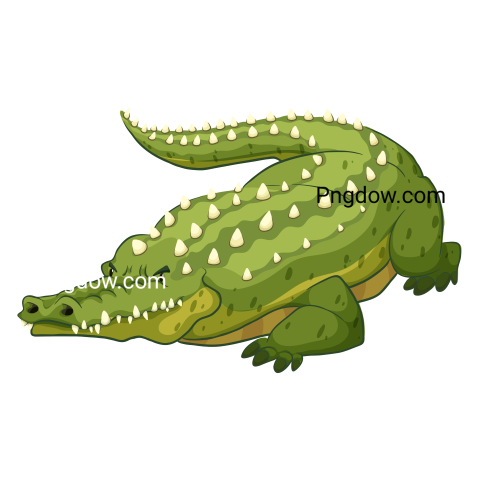 Crocodile Png image with transparent background for free, Crocodile, (31)