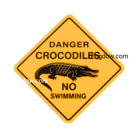 Crocodile Png image with transparent background for free, Crocodile, (9)