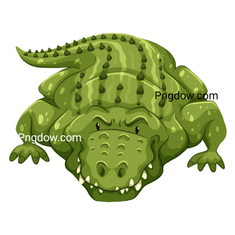 Crocodile Png image with transparent background for free, Crocodile, (16)