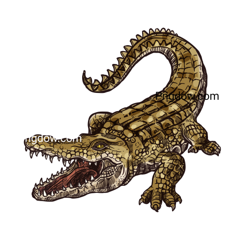 Crocodile Png image with transparent background for free, Crocodile, (27)