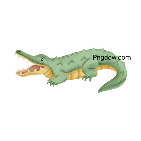 Crocodile Png image with transparent background for free, Crocodile, (24)