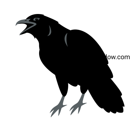 Crow Png image with transparent background for free, Crow, (32)
