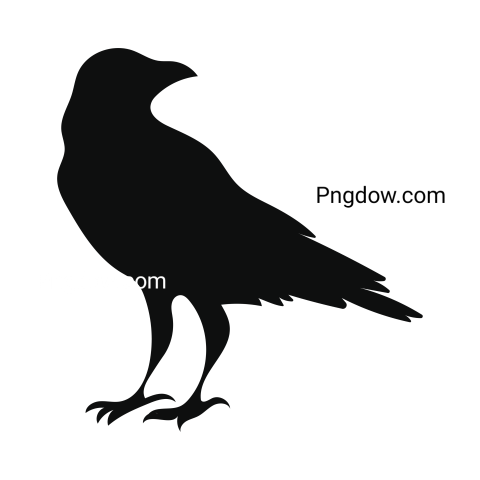 Crow Png image with transparent background for free, Crow, (31)