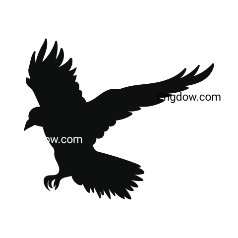 Crow Png image with transparent background for free, Crow, (34)