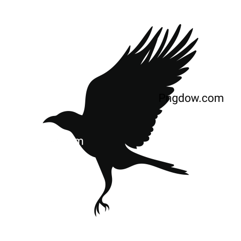Crow Png image with transparent background for free, Crow, (19)