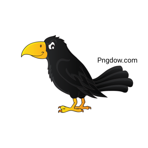 Crow Png image with transparent background for free, Crow, (33)