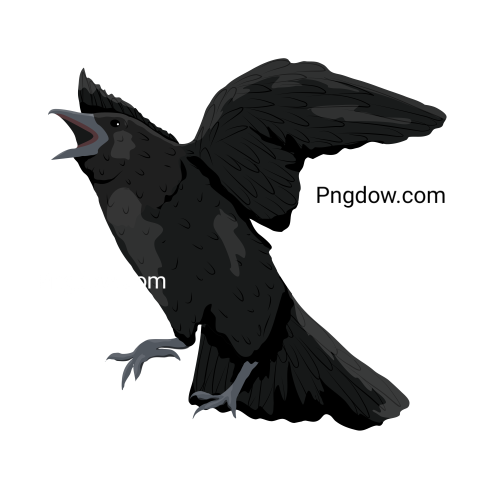 Crow Png image with transparent background for free, Crow, (29)