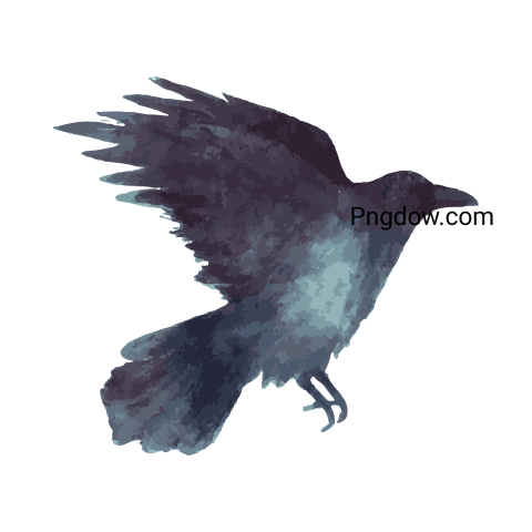 Crow Png image with transparent background for free, Crow, (21)