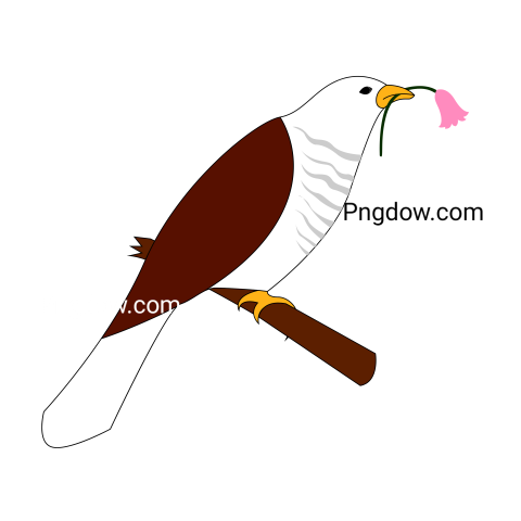 Cuckoo Png image with transparent background for free, Cuckoo, (19)