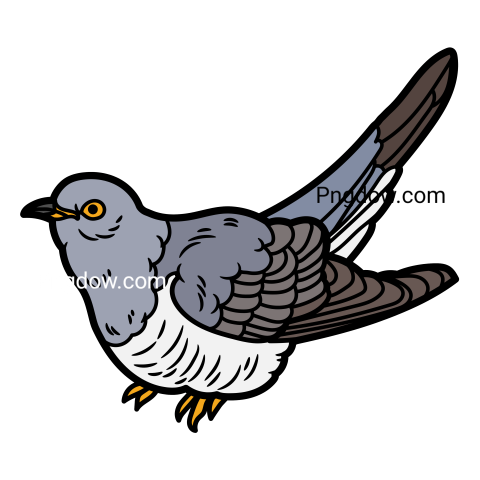Cuckoo Png image with transparent background for free, Cuckoo, (27)