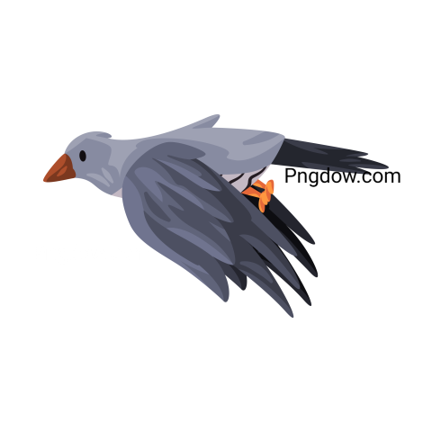 Cuckoo Png image with transparent background for free, Cuckoo, (29)