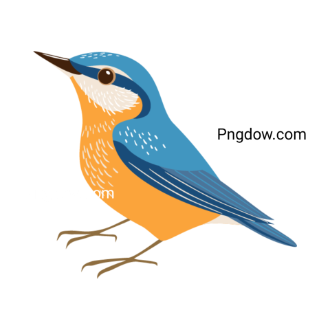 Cuckoo Png image with transparent background for free, Cuckoo, (15)