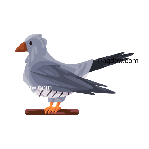 Cuckoo Png image with transparent background for free, Cuckoo, (4)