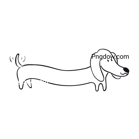 Dachshund Png image with transparent background for free, Dachshund, (40)