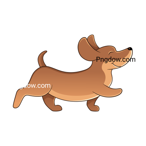 Dachshund Png image with transparent background for free, Dachshund, (35)