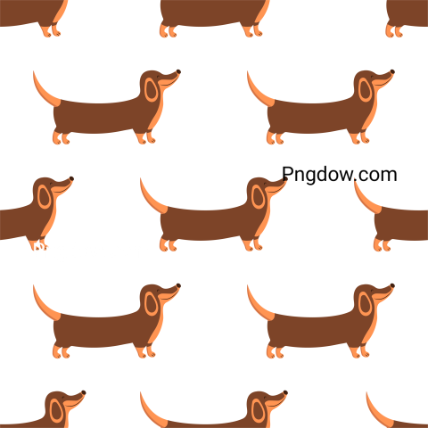 Dachshund Png image with transparent background for free, Dachshund, (42)