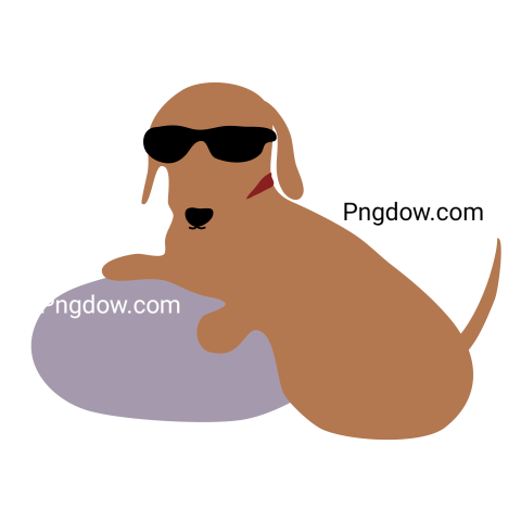 Dachshund Png image with transparent background for free, Dachshund, (15)